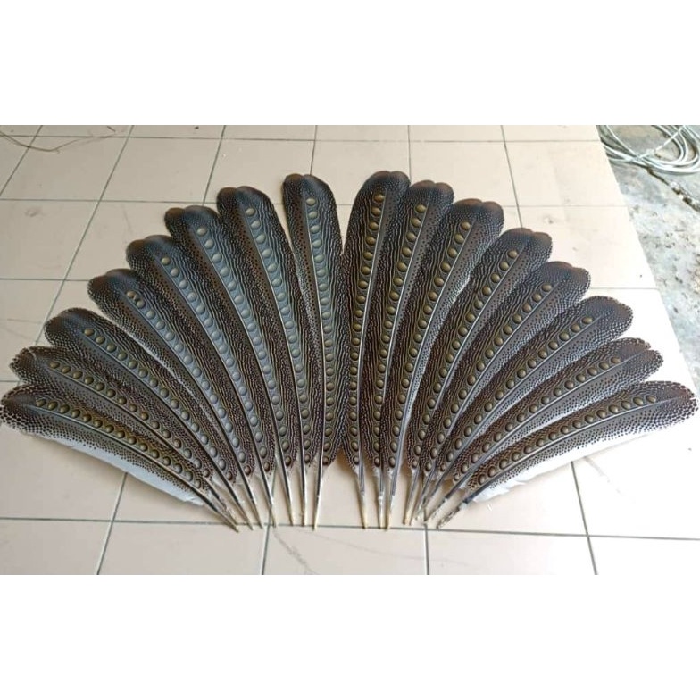 ART V2W accesories tari bulu ruai hias etnik dayak