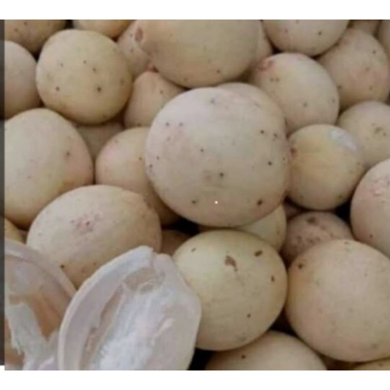 

buah duku/Langsat super manis