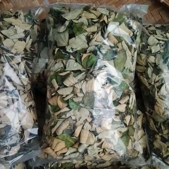 

Daun Bidara Arab Kering 500gram Bidara Ruqyah