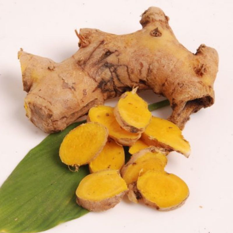 

fresh temu glenyeh temu giring temu koneng