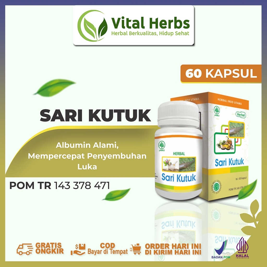 

Vital Herbs - Sari Kutuk Mempercepat Penyembuhan Luka Herbal
