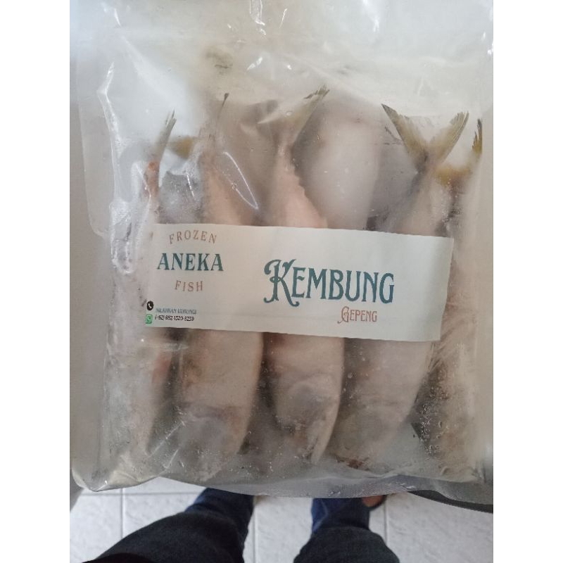 

ikan kembung gepeng