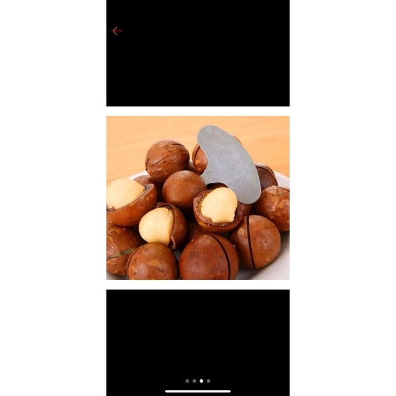 

Macadamia roasted premium jumbo 500Gram / FREE ALAT