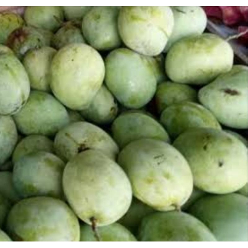 

mangga indramayu segar 1 kg/mangga rujak 1 kg
