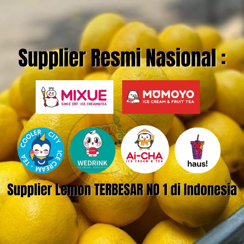 

Sedia Jeruk Lemon California Super 1 KG by SUUR LEMOEN ID