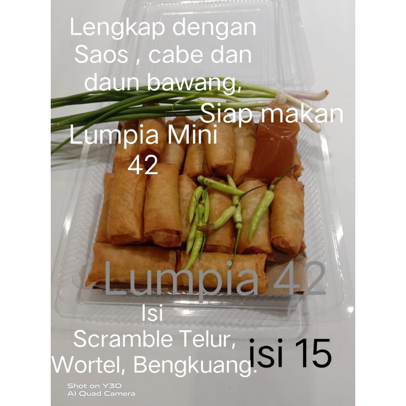 

Lumpia mini 42 isi 15 lengkap dengan saus cabe dan daun bawang siap makan