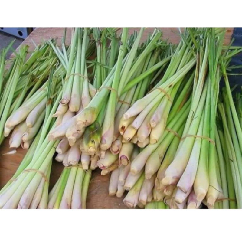 

daun serai/sereh segar 250 gram harga promo