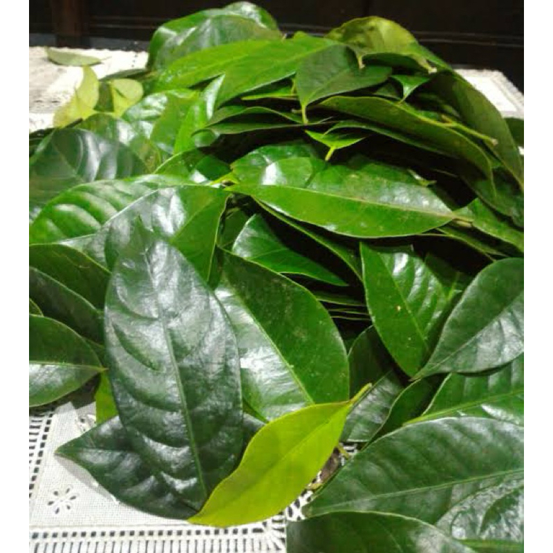 

Daun Pala Segar 100 Gram
