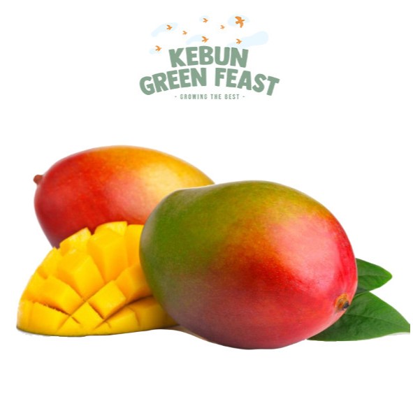 

Mangga Kimleng Red - Thailand - Buah Import