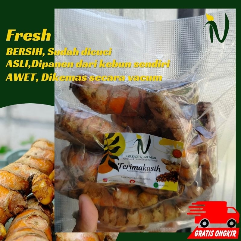 

Kunyit/Kunir bumbu segar