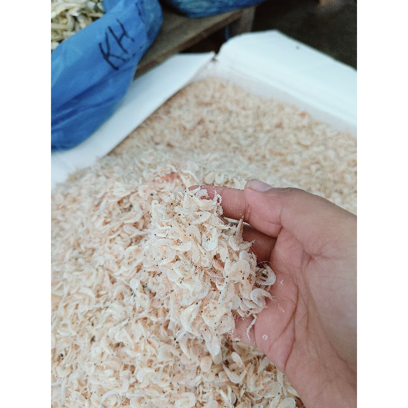 

udang kecepe/udang rebon 1 kg