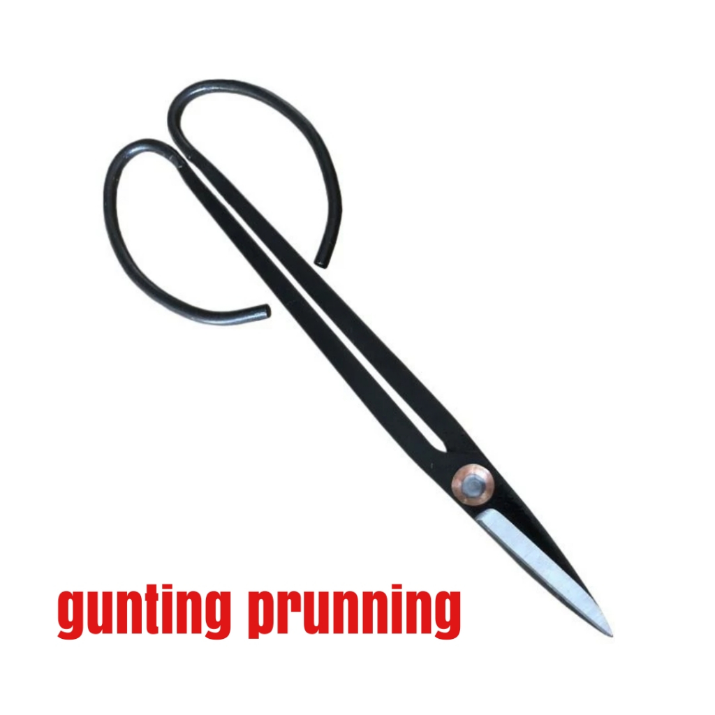 Gunting PEMANGKAS TANAMAN BONSAI BUNGA BAJA CARBON IMPORT gunting Bonsai prunning