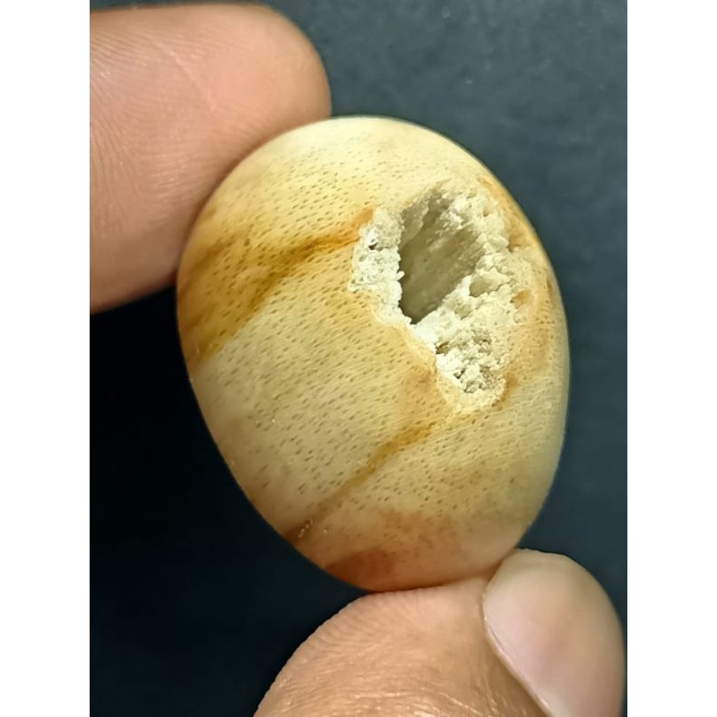 Batu Posil Galih Kelor Combong