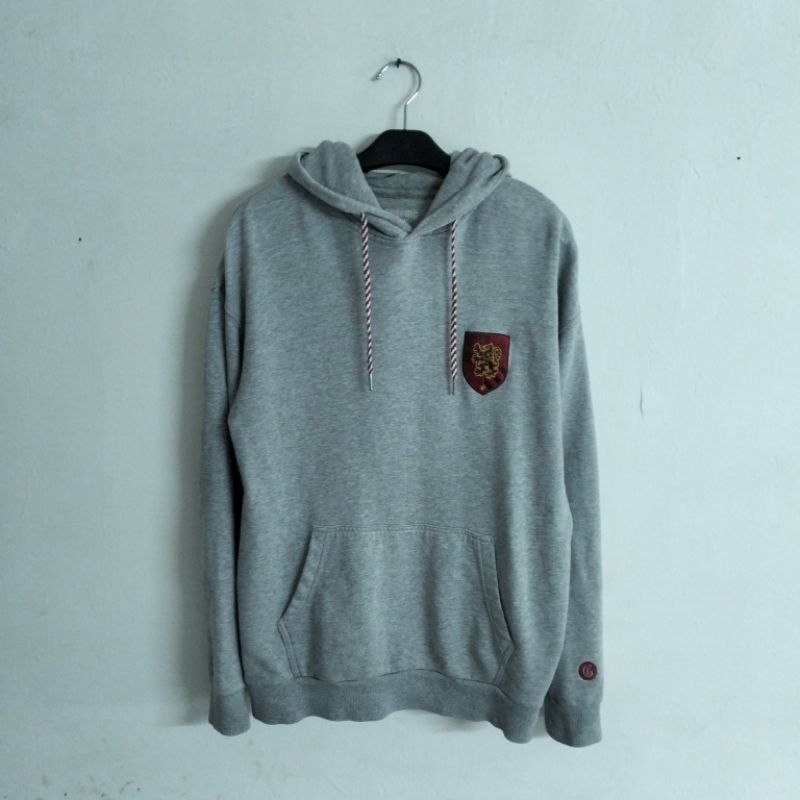 HOODIE GRAPHIC TEE SPAO X HARRY POTTER GRYFFINDOR