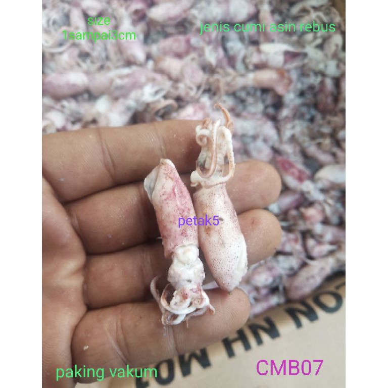 

Big Sale Cumi asin beby 1kg cumi asin babycumi asin rebuscumi asin kecil