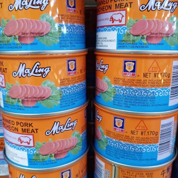 

New Trend TTS MaLing Pork