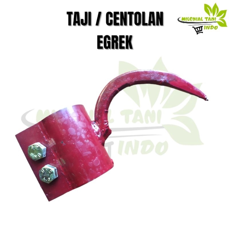 CANTOLAN / TAJI PIPA SAWIT