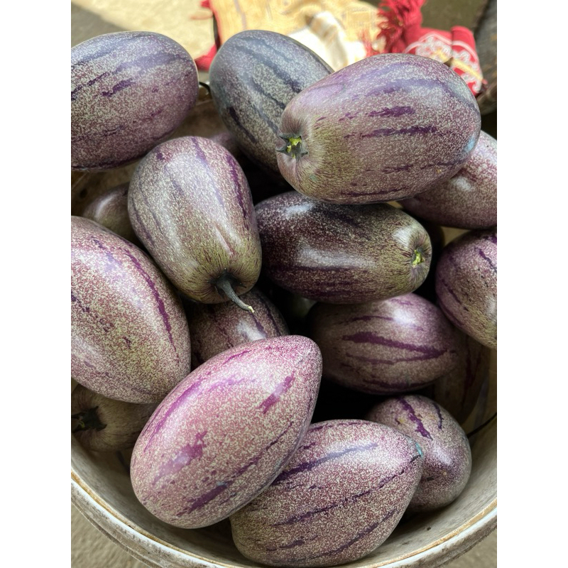 

Buah Pepino/buah put 1kg khas ciwidey