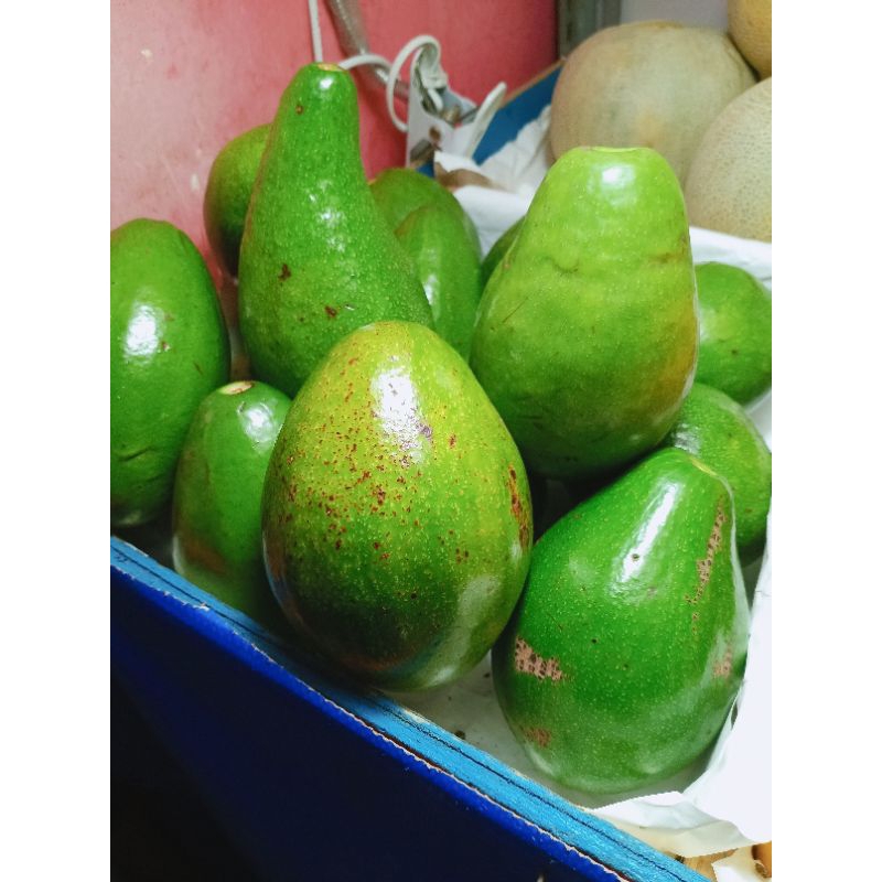 

1 kg Alpukat Mentega Isi 3-4 .