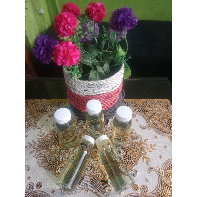 MINYAK KAYU PUTIH ASLI PULAU BURU