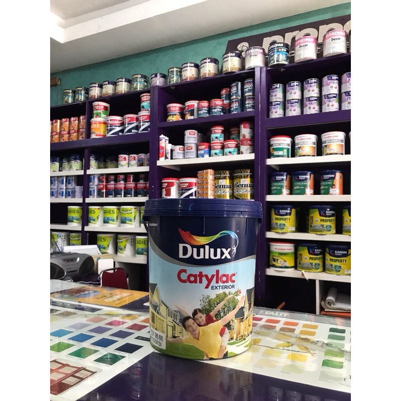 Dulux catylac exterior 5kg