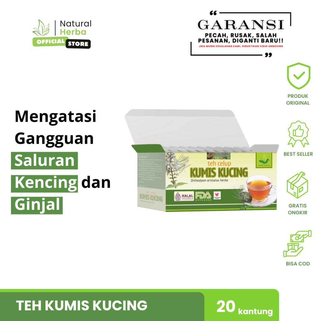 

TEH SUSAH BUANG AIR KECIL DAN GANGGUAN GINJAL Teh Herbal Kumis Kucing Original Halal BPOM