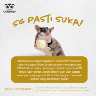 ADEWAP GLIDER Frozen Food Bunga Kol Meatball Glider Chicken For Sugar Glider