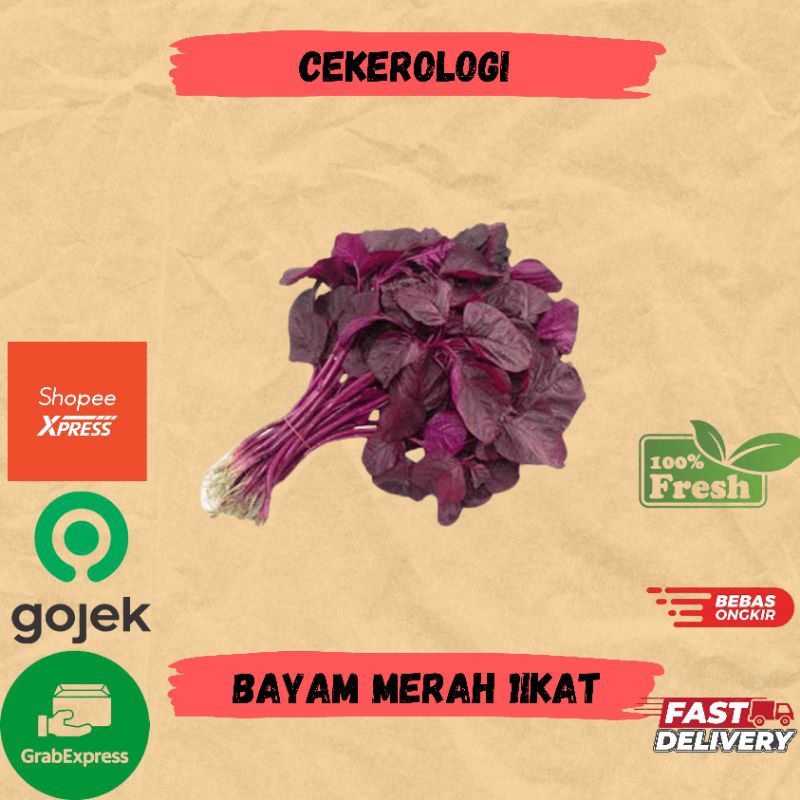 

Bayam Merah 1ikat / Bayam Merah Fresh Berkualitas / Bayam Merah JABODETABEK / Bayam Merah Segar / Sayur Segar / Sayuran / Sayur