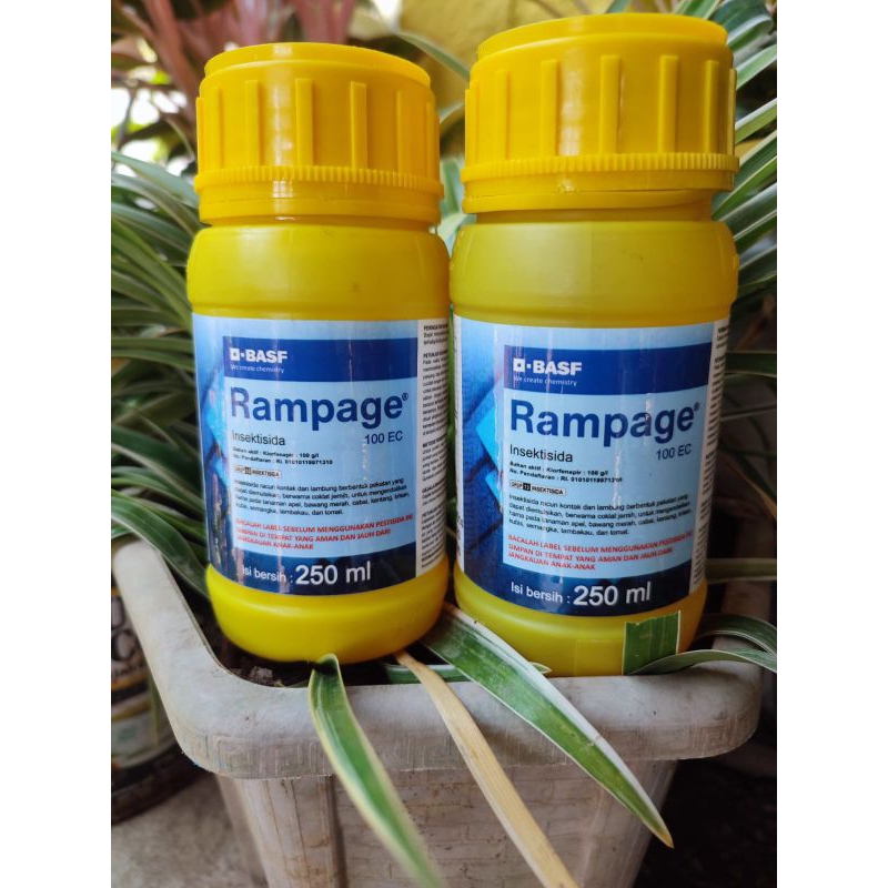 Rampage 100 EC 250 ML