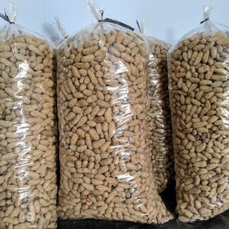 

Kacang sangrai, asli sangrai