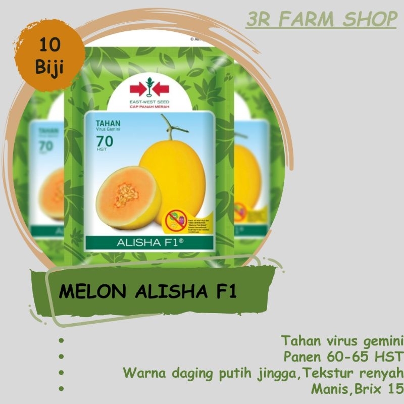 Benih Melon Golden Alisha - Repack 10 biji