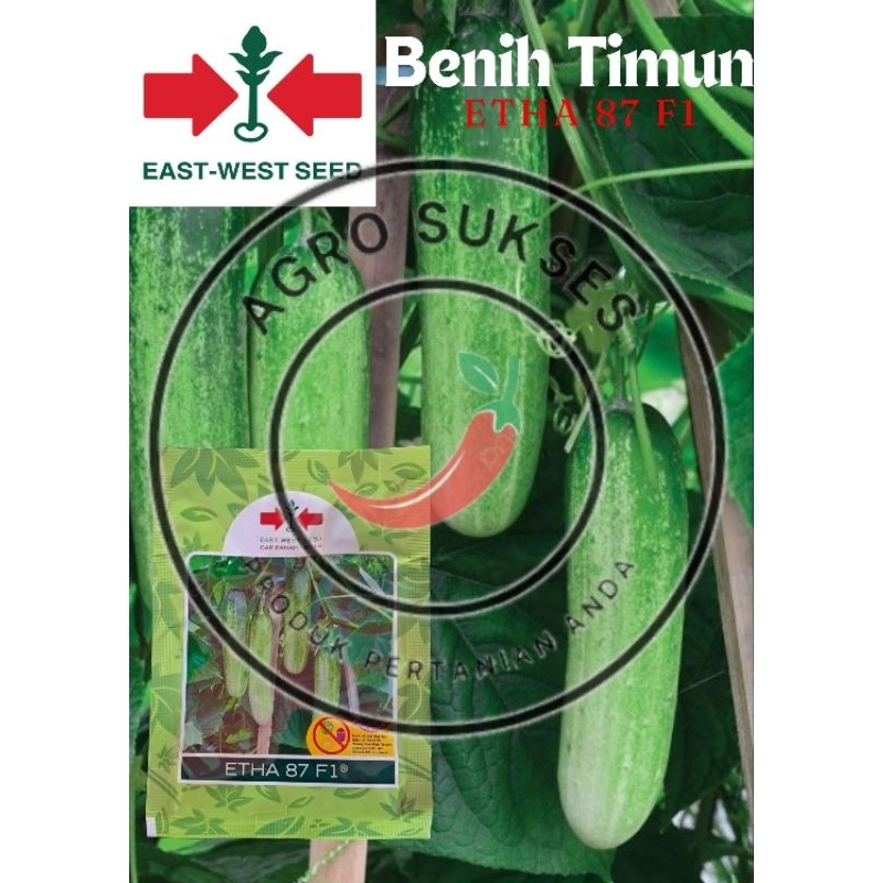 Biji | Bibit | Benih Mentimun / Ketimun / Timun ETHA 87 F1 cap PANAH MERAH 20 gram