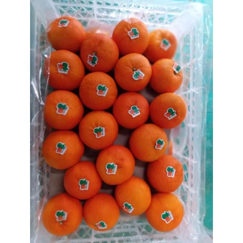 

jeruk wogan dino fresh 1 dus isi 8 kg up / buah jeruk premium Dino fresh 1 box 8 kg up