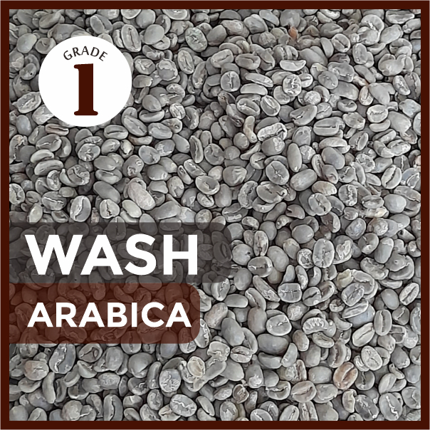 

GB Arabica Wash Grade 1- 1000 gr | Green Bean