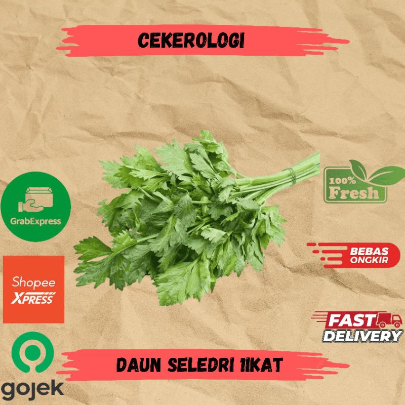

Daun Seledri 1ikat / Daun Seledri / Seledri / Daun Seledri Fresh Berkualitas / Sayur Segar / Sayuran / Sayur