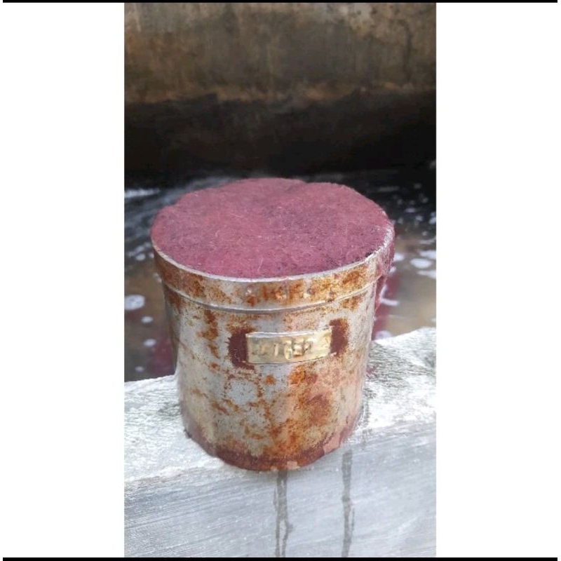 cacing sutra hidup 1 liter gratis channa andro