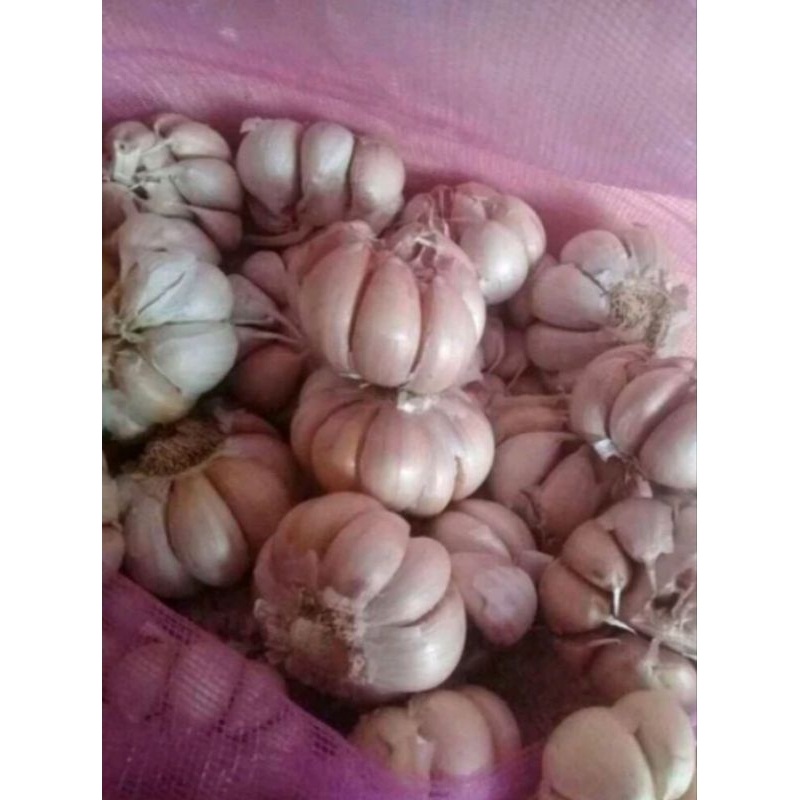 

Bawang putih bumbu dapur, bersih , kemasan 1kg