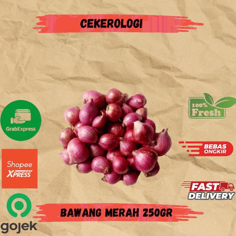 

Bawang Merah 250gr / Bawang Merah / Bawang Merah Kupas Fresh Berkualitas / JABODETABEK / Sayur Segar / Sayuran / Sayur