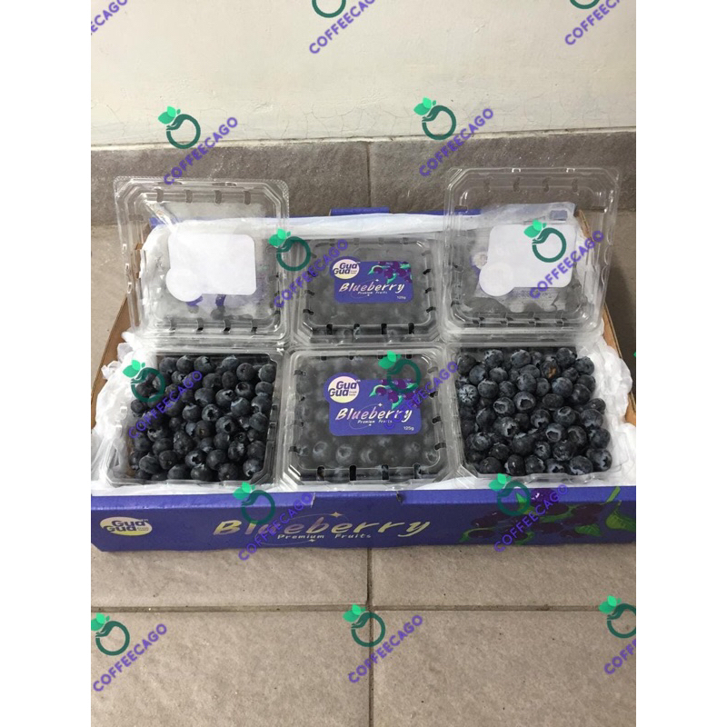

Blueberry Gua Gua 1 Dus (12 Pack) Fresh Import