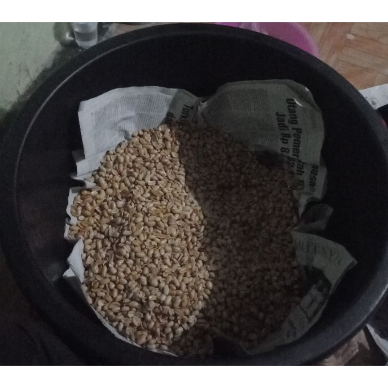 

kacangbawang