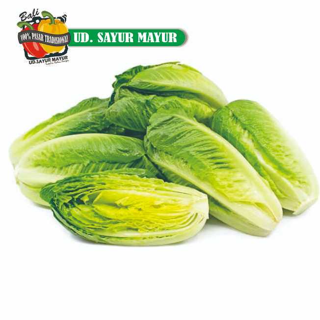 

Lettuce Romaine | Baby Romana 200 gram