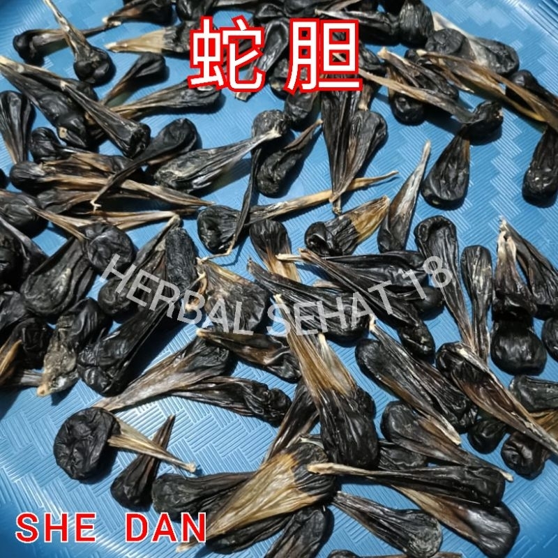 

10 gram - She Dan 蛇胆 Empedu Ul4r Ular