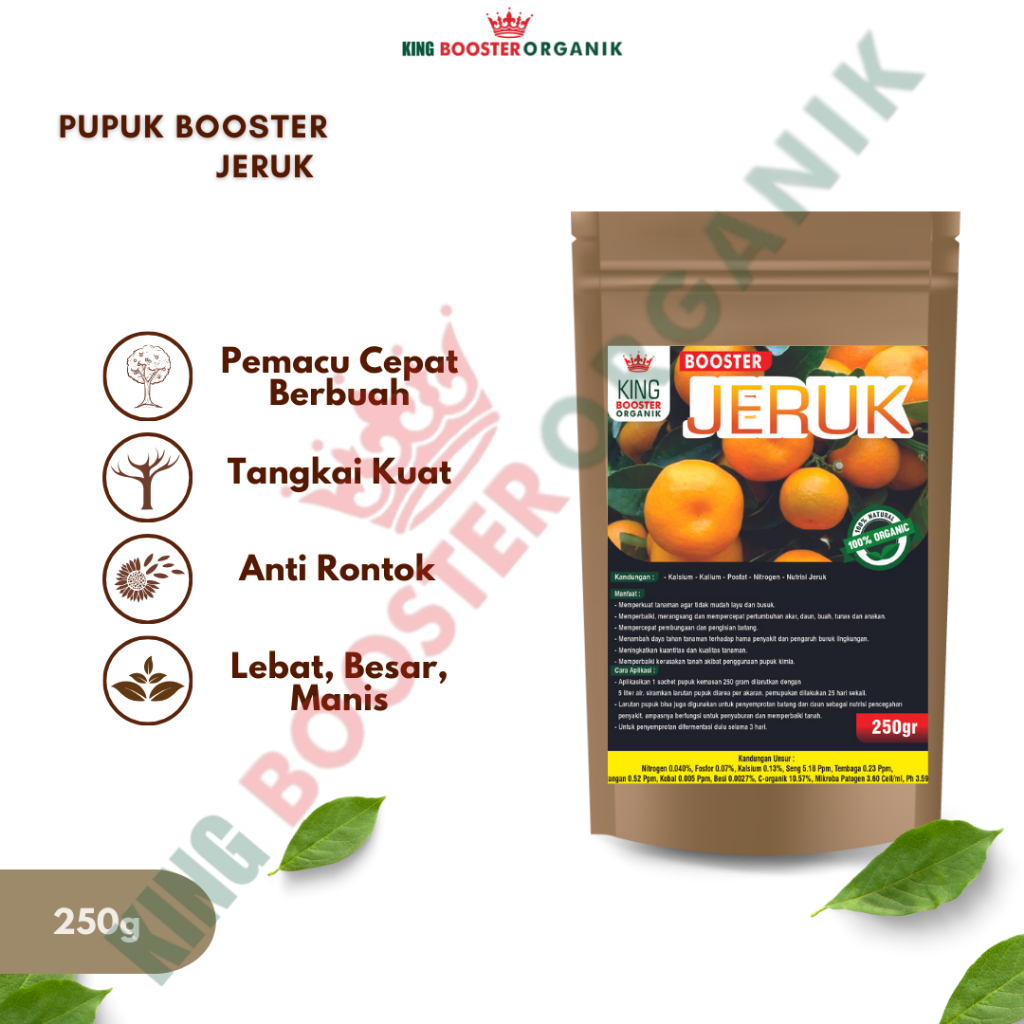 Pupuk Booster Jeruk Organik Agar Cepat Berbuah Lebat perangsang Khusus Pembuahan Buah Saat Sedang Be
