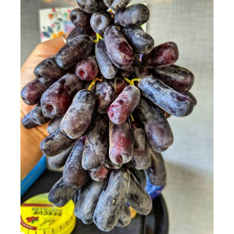 

Sweet Sapphire / Anggur Jari Australia