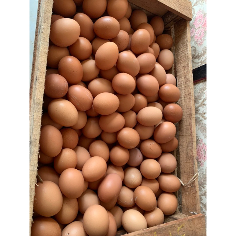 

Telur ayam 1kg