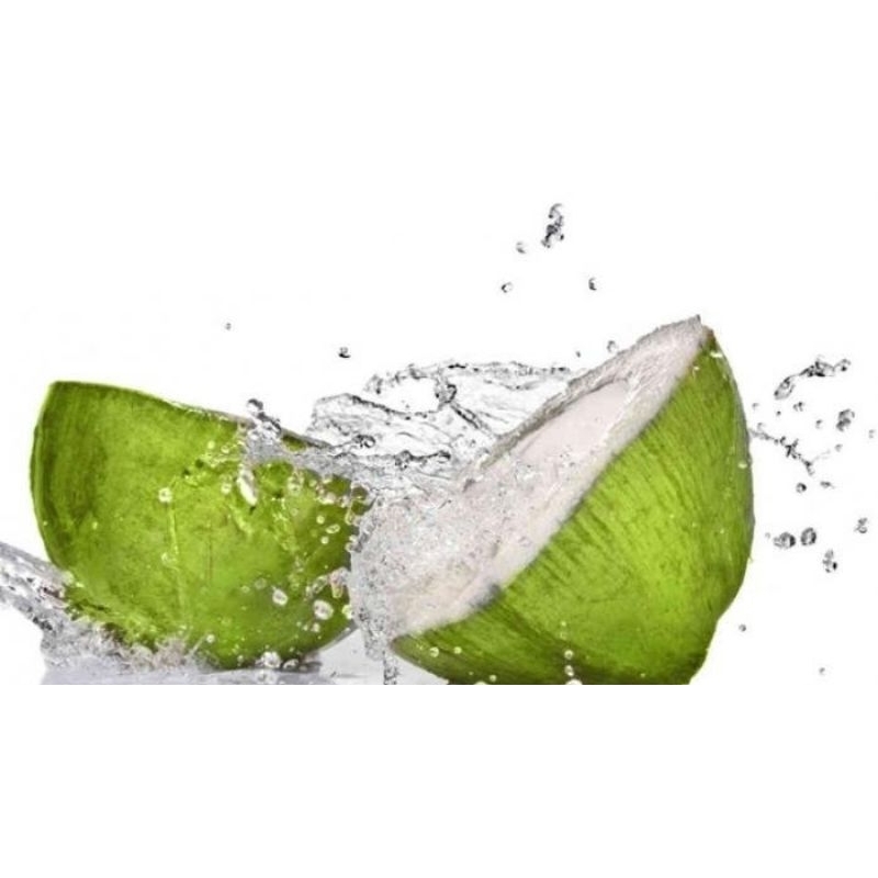 

kelapa muda 1 buah utuh