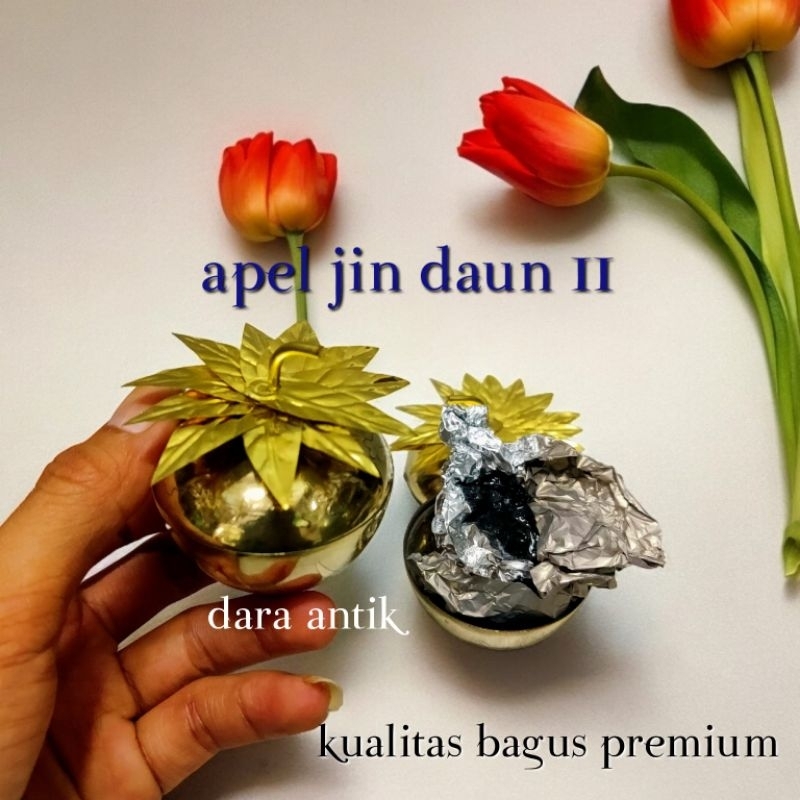 apel jin daun 11 kualitas premium