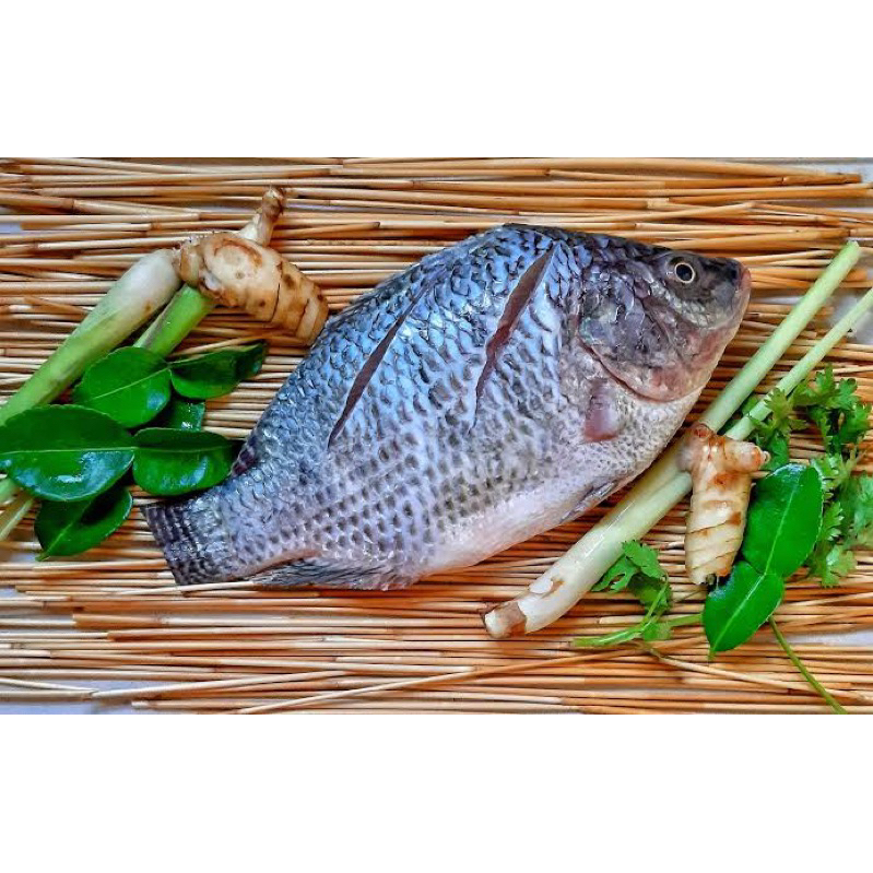 

Ikan Nila 1kg