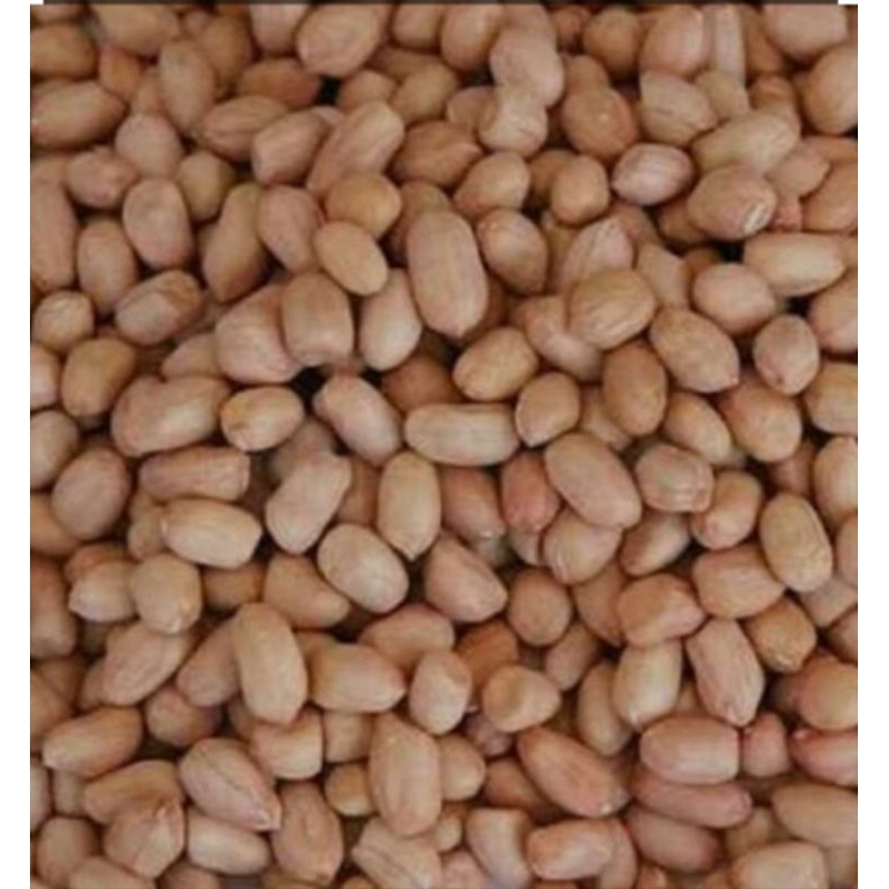 

Kacang Tanah 1kg
