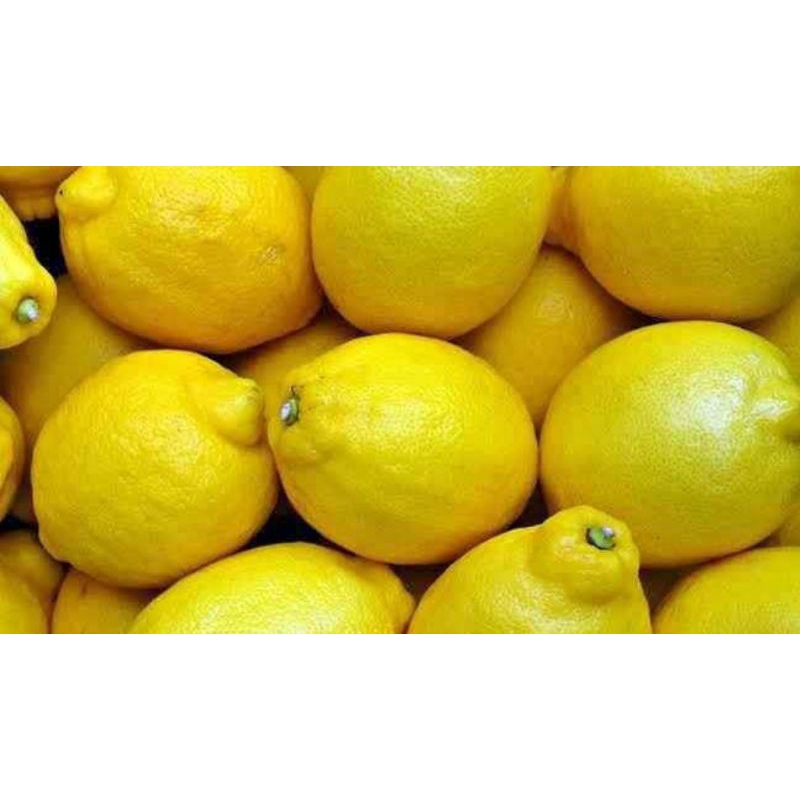 

Lemon California premium ABC &CN untuk Vitamin C
